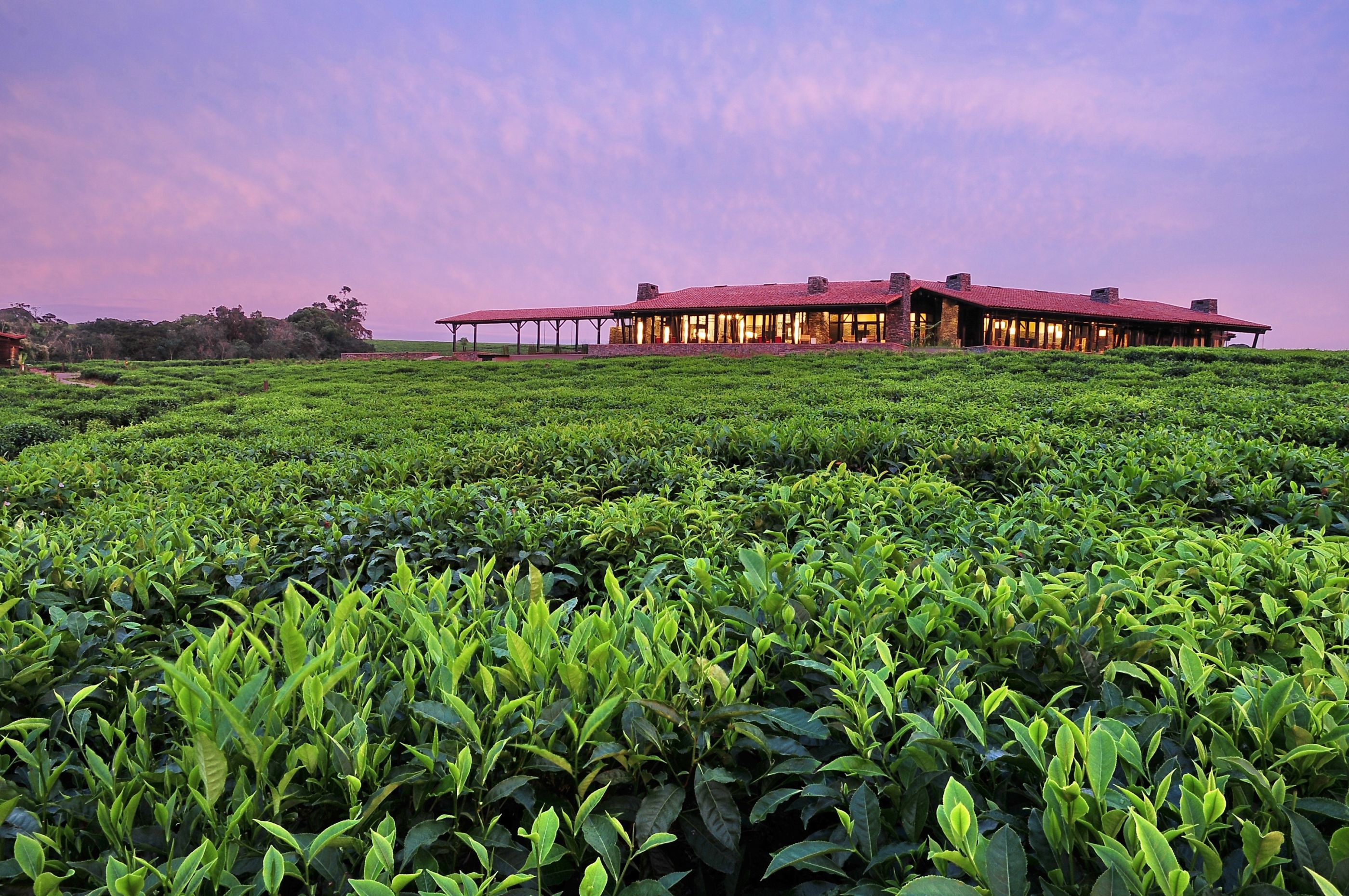 A view towards Nyungwe House in Rwanda