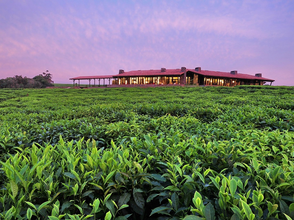 A view towards Nyungwe House in Rwanda