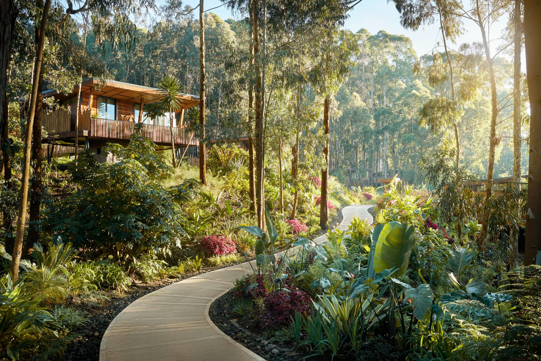 Pathway through the grounds of One&Only Gorilla's Nest in Rwanda's Volcanoes National Park