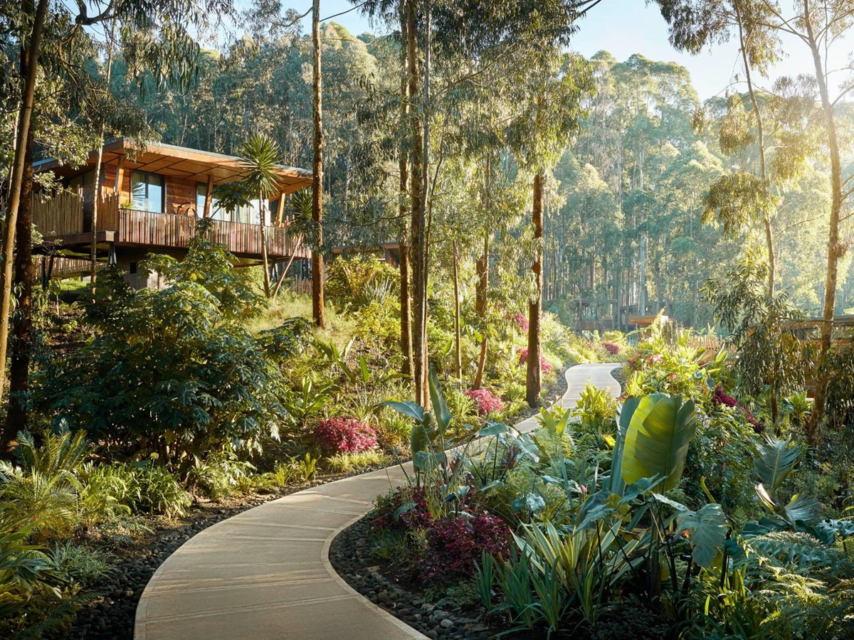 Pathway through the grounds of One&Only Gorilla's Nest in Rwanda's Volcanoes National Park