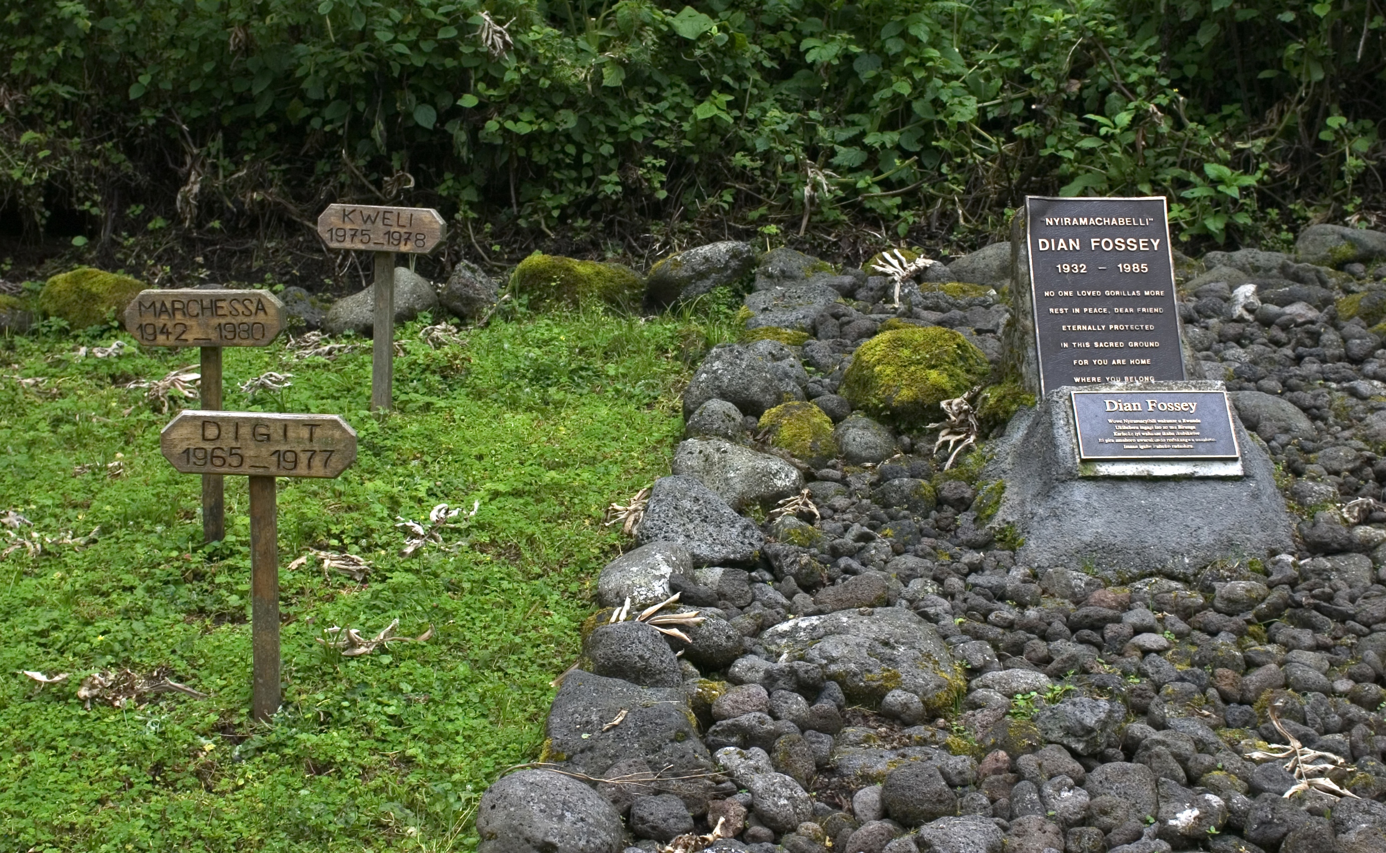 Visiting Dian Fossey on a safari in Rwanda