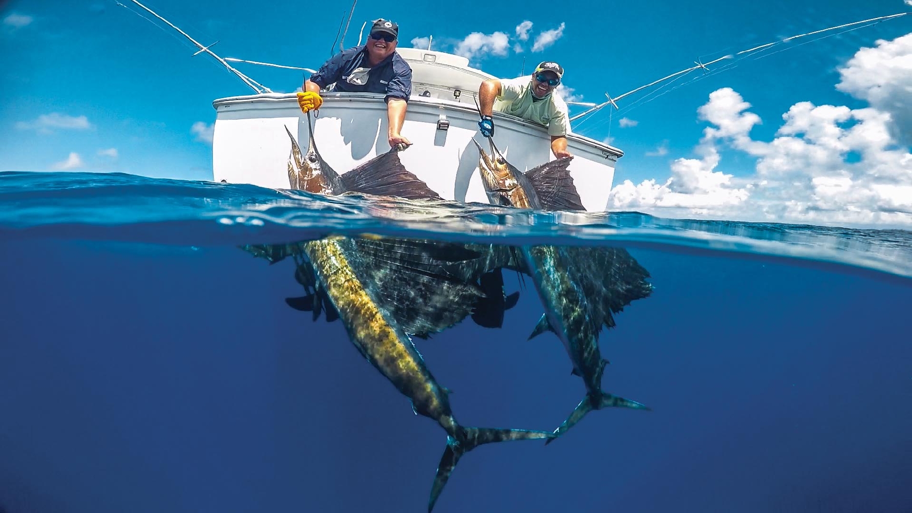 sailfish caught by guests of alphone island, seychelles