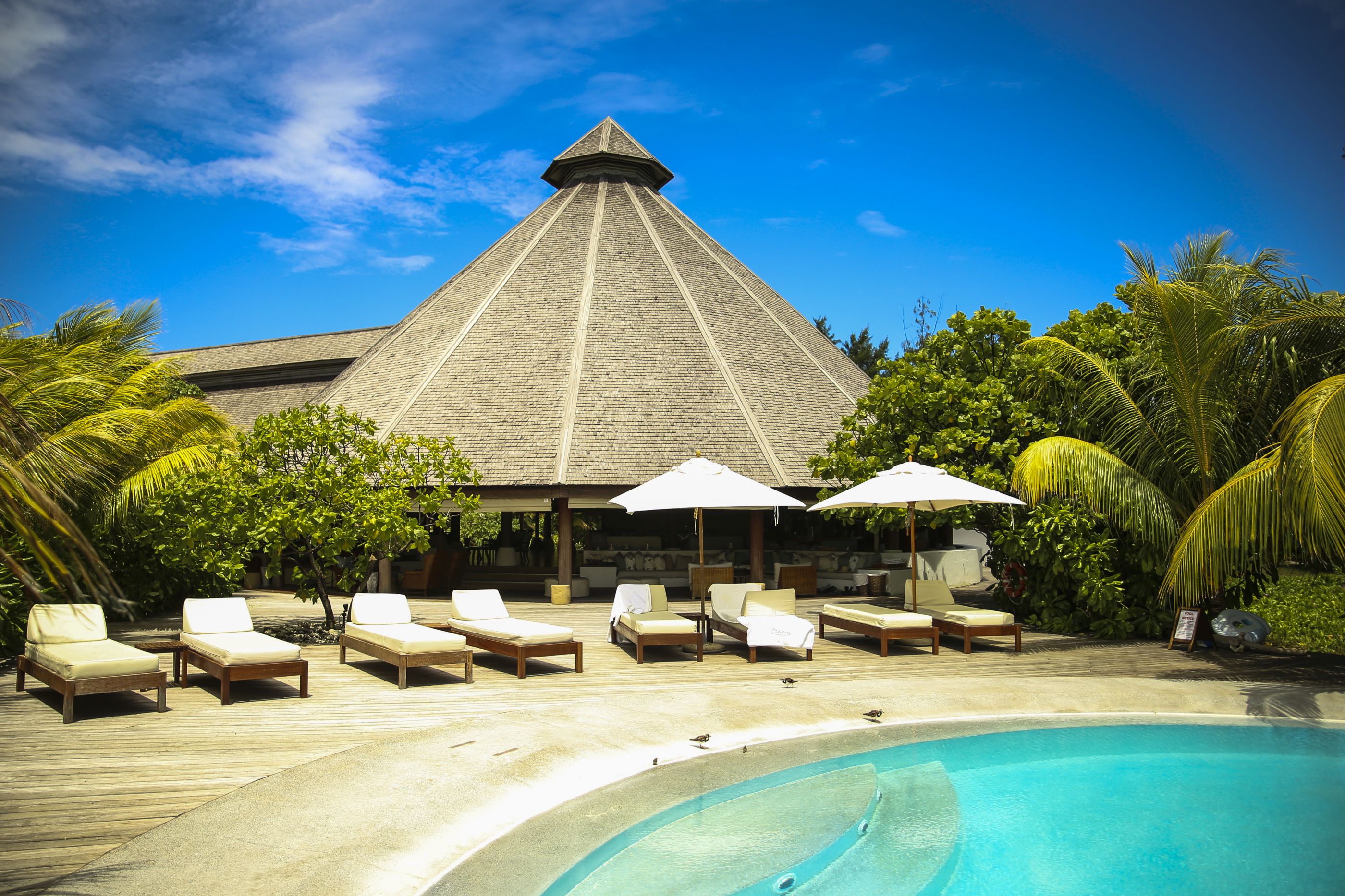 The swimming pool of Denis Island, Seychelles