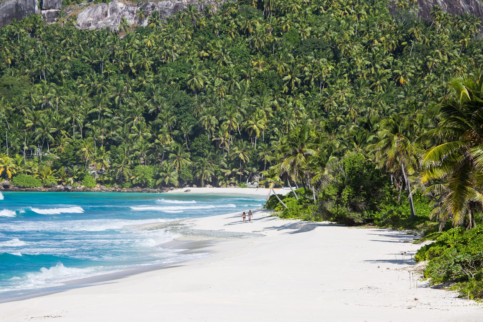 Beach surrounded by lush forest on North Island in the Seychelles