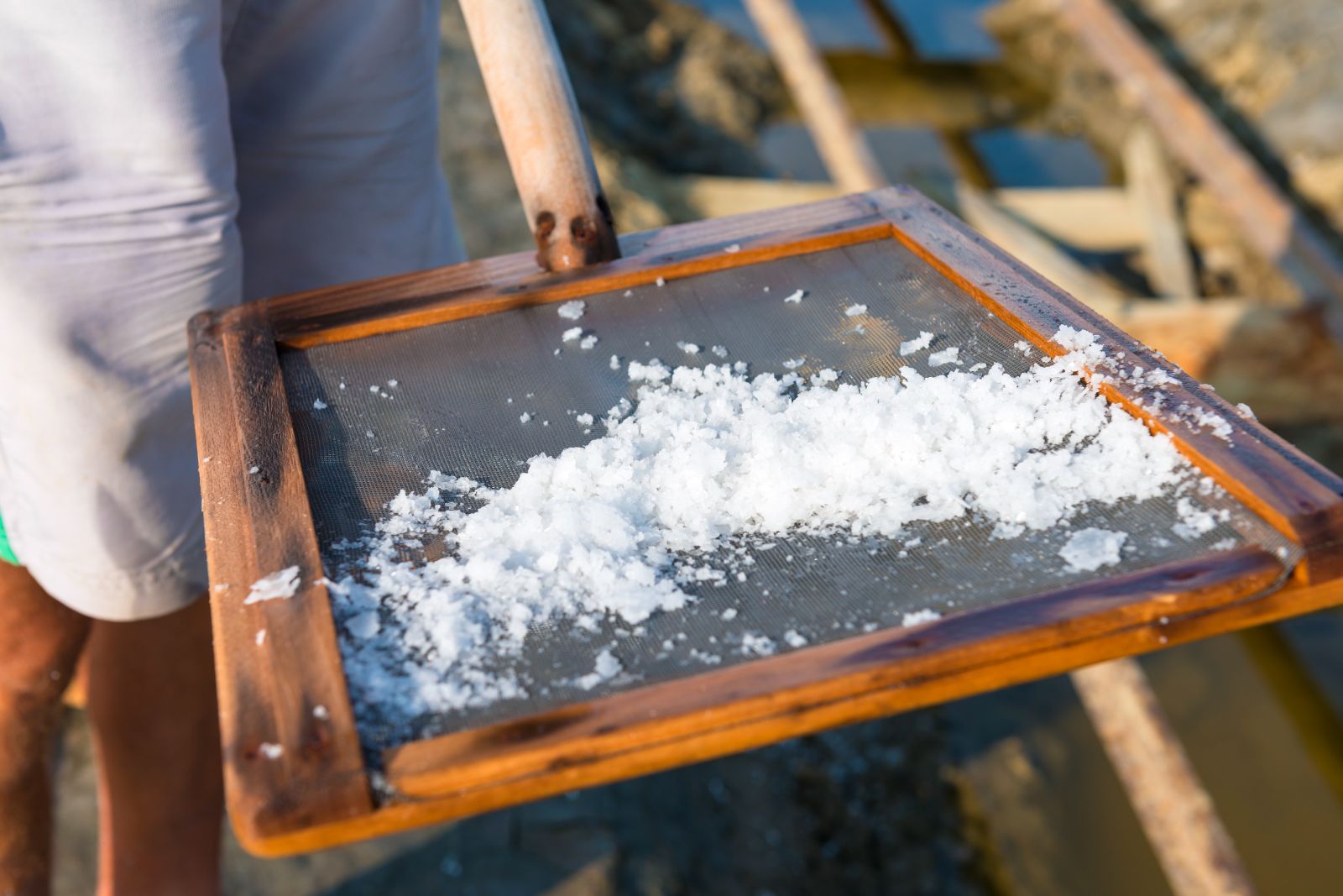 Salt panning in Piran saltworks, Slovenia