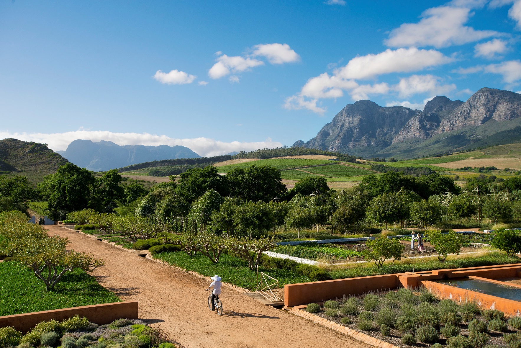 Gardens at Babylonstoren