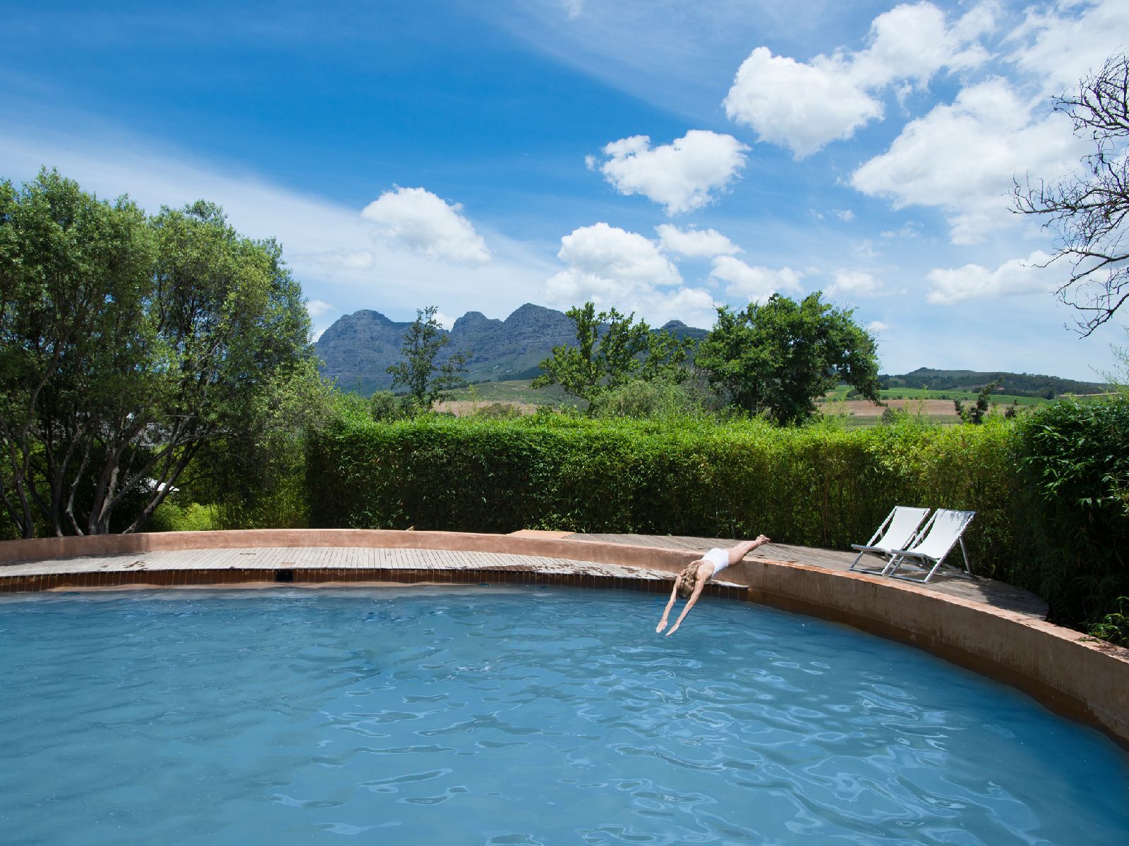 Guest diving into the outdoor pool at Babylonstoren in South Africa