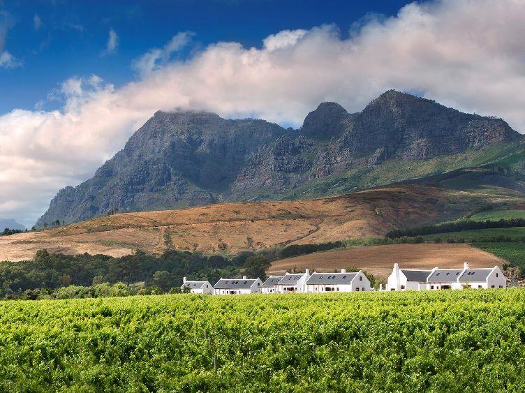 Cottages and vineyard surroundings at Babylonstoren in South Africa