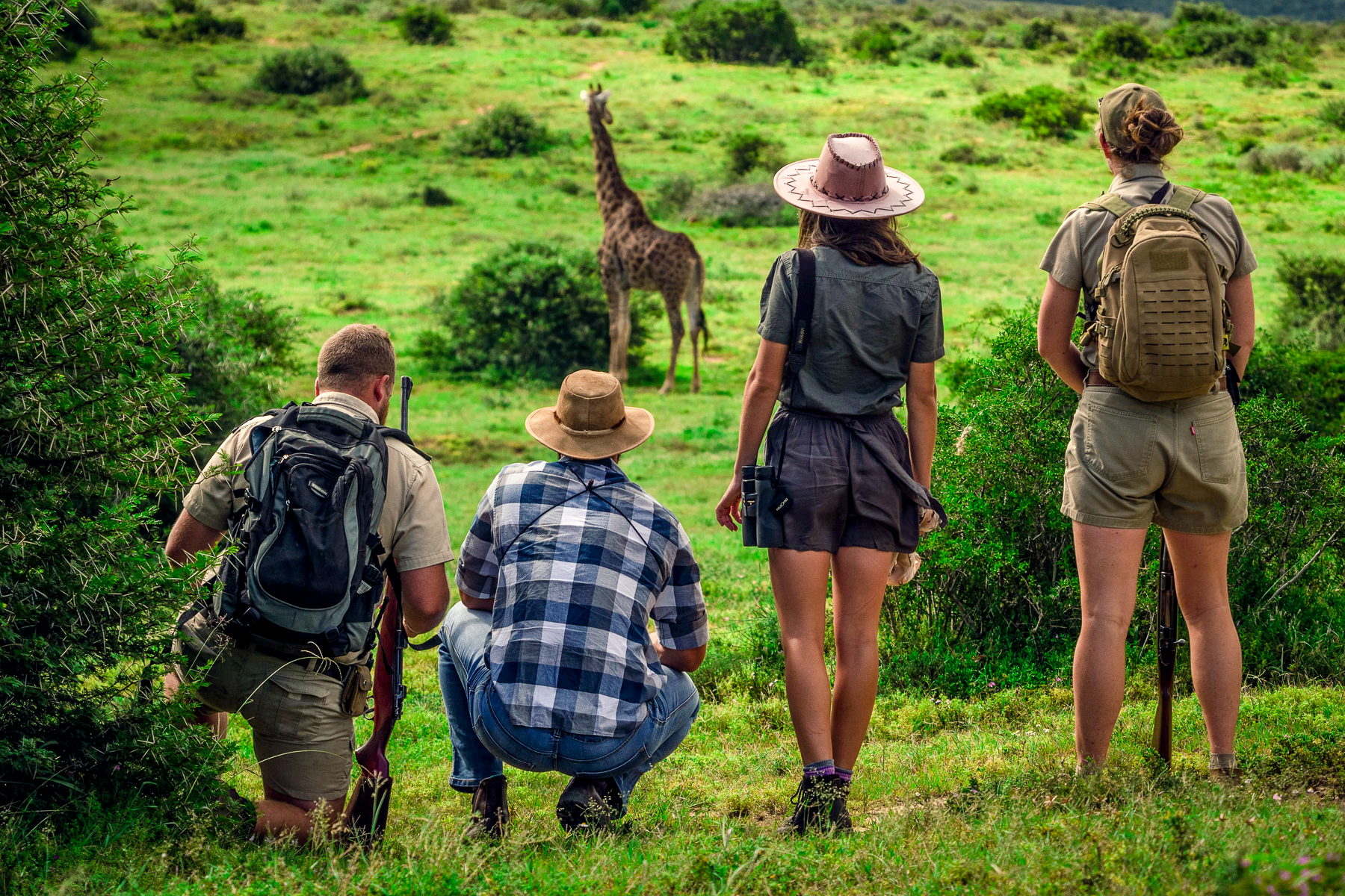 A giraffe spotted during a nature walk from Bayethe Lodge in the Shamwari Game Reserve