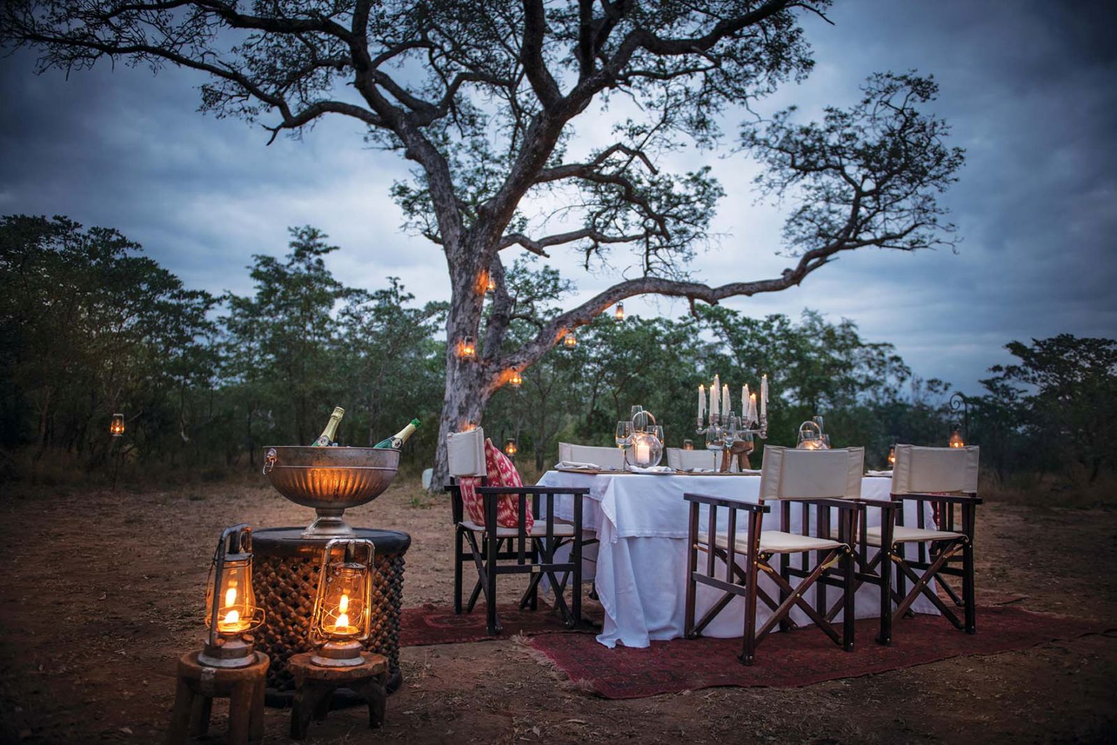 Bush dinner at Dulini in South Africa 