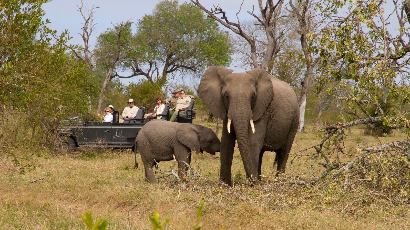 Game viewing of elephants at Dulini in South Africa 