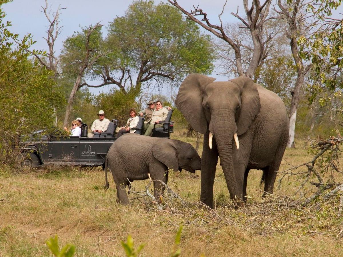 Game viewing of elephants at Dulini in South Africa