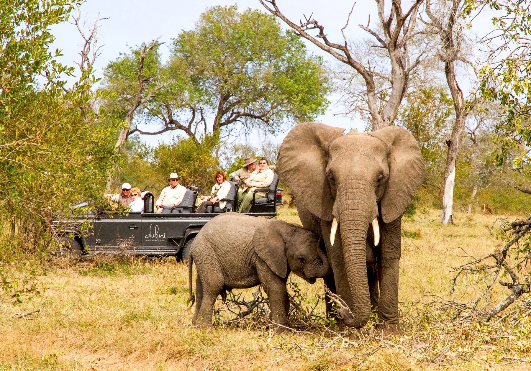 Elephants seen during a game drive from Dulini River Lodge in South Africa