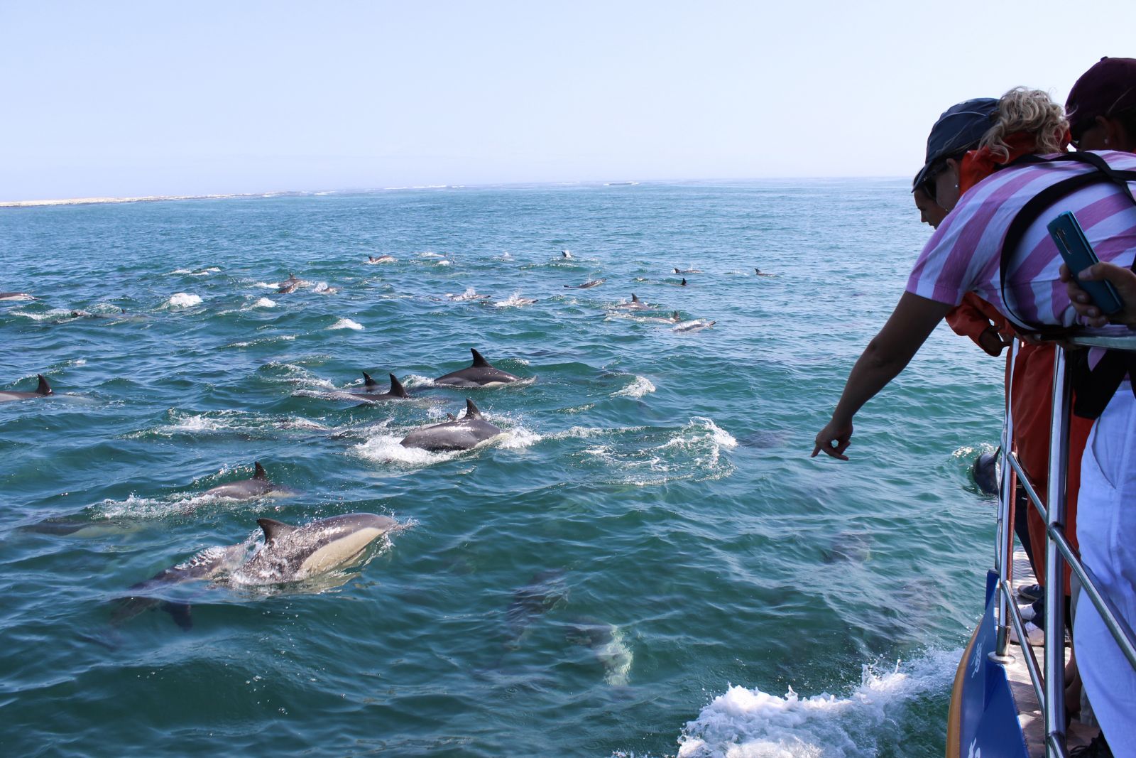 Visitors to Grootbos South Africa on a dolphin watching boat trip