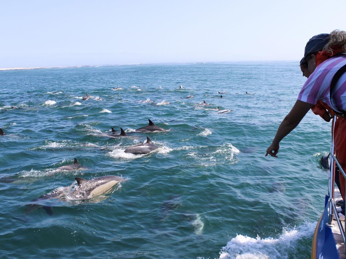 Visitors to Grootbos South Africa on a dolphin watching boat trip