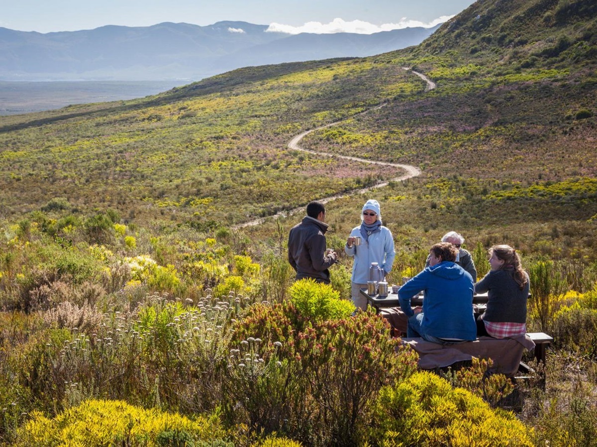 Guests on a botanical safari at the Grootbos private reserve in South Africa