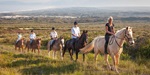 Guests enjoying a horse riding tour during a stay at luxury reserve Grootbos in South Africa