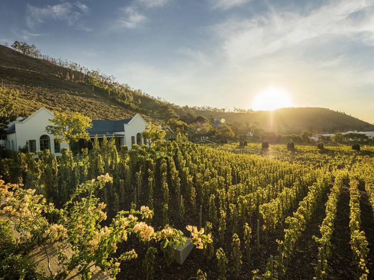 Vineyard cottage exterior view at Leeu Estates in South Africa