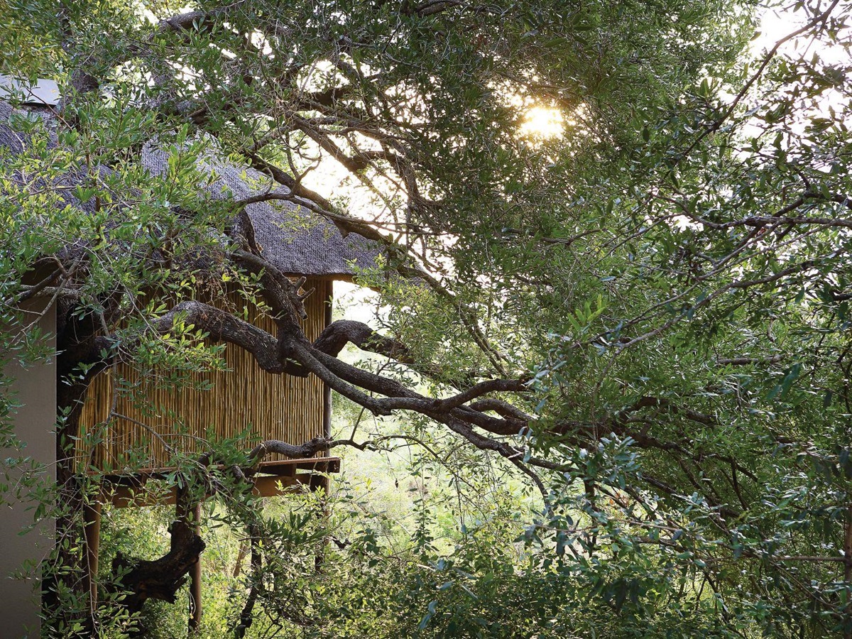 Exterior view of Londolozi Tree Camp in South Africa