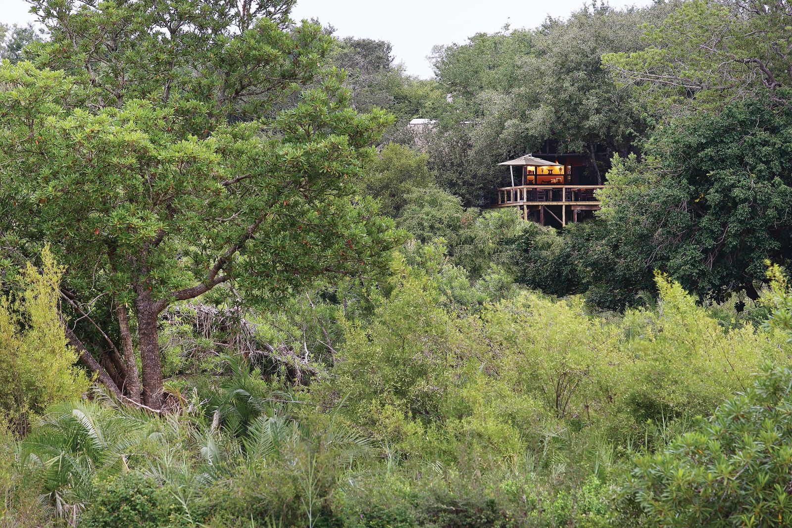 Exterior of Londolozi Tree Camp in South Africa