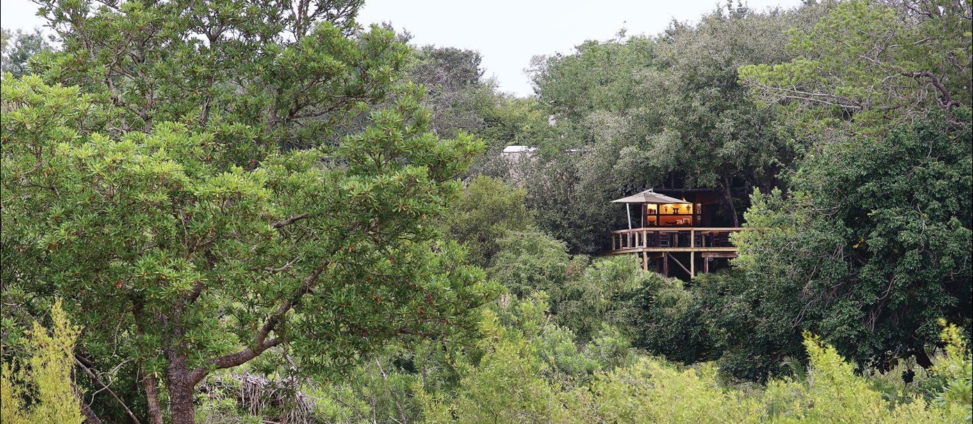 Exterior of Londolozi Tree Camp in South Africa