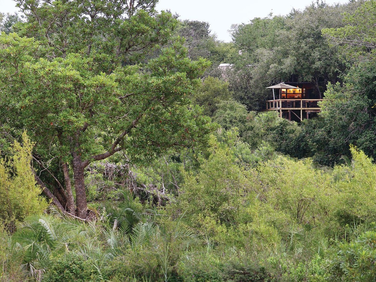 Exterior of Londolozi Tree Camp in South Africa