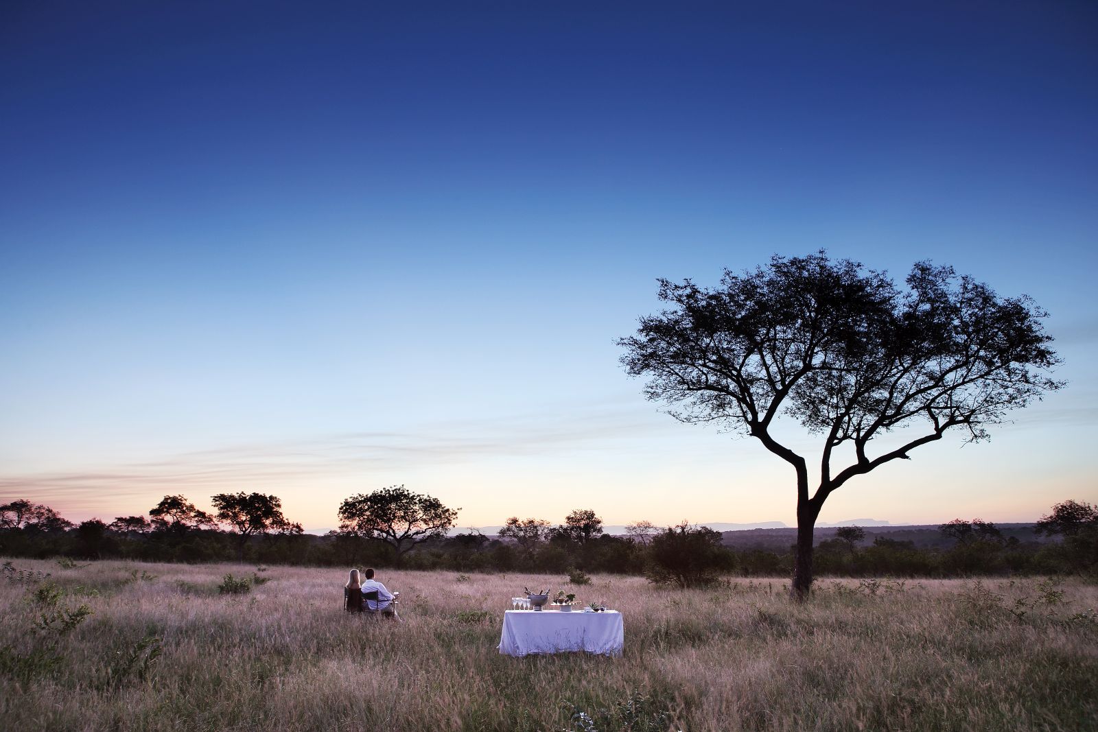 Sundowner at Londolozi Tree Camp in South Africa