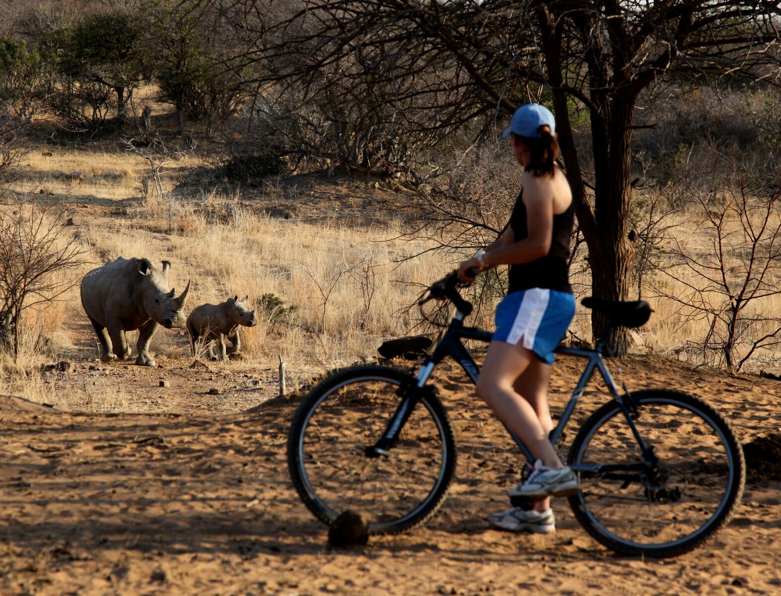 Mountain biking from Ant's Nest in South Africa