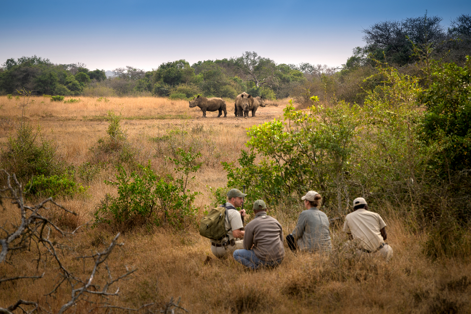 Rhino spotted during a bush walk from Forest Lodge in South Africa