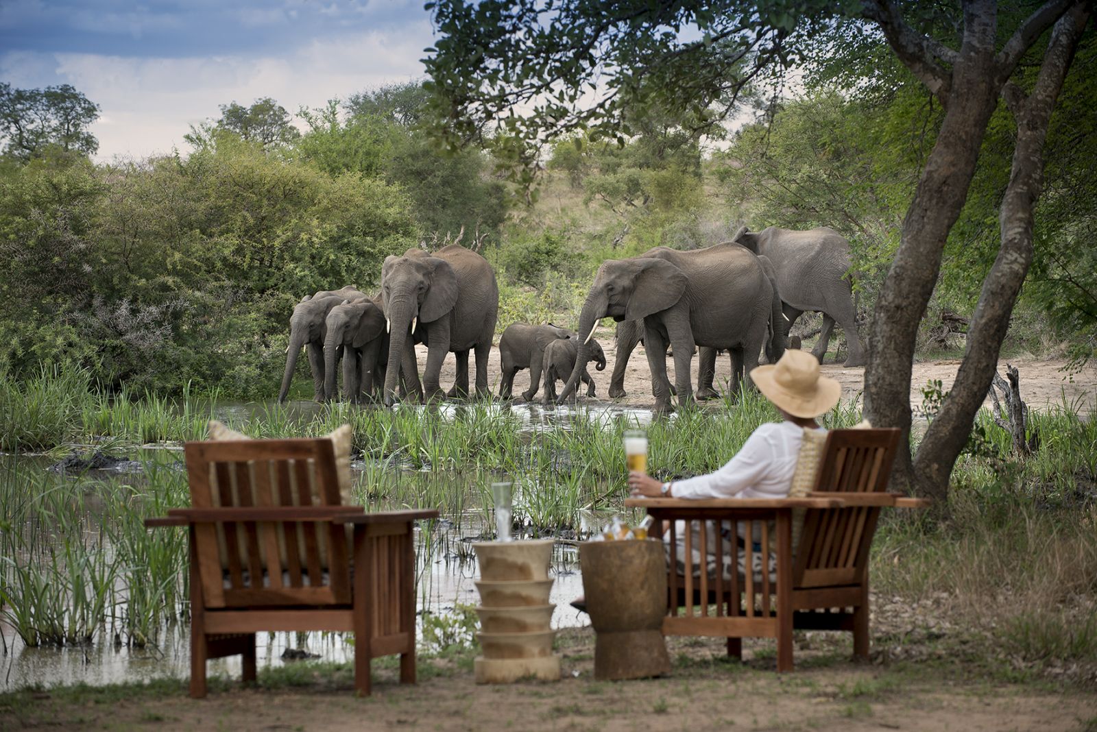 Game viewing of elephants at Tanda Tula Safari Camp in South Africa 