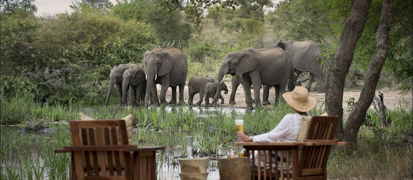 Game viewing of elephants at Tanda Tula Safari Camp in South Africa 