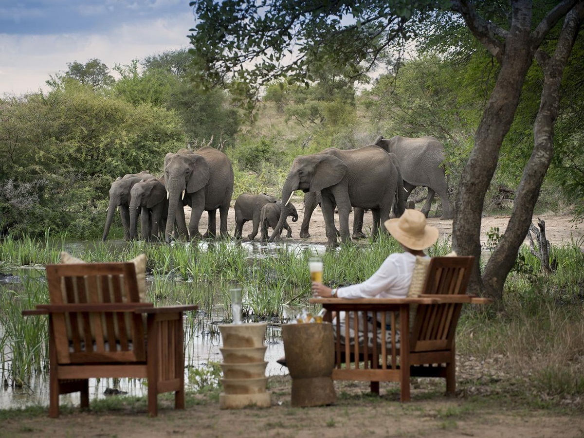 Game viewing of elephants at Tanda Tula Safari Camp in South Africa