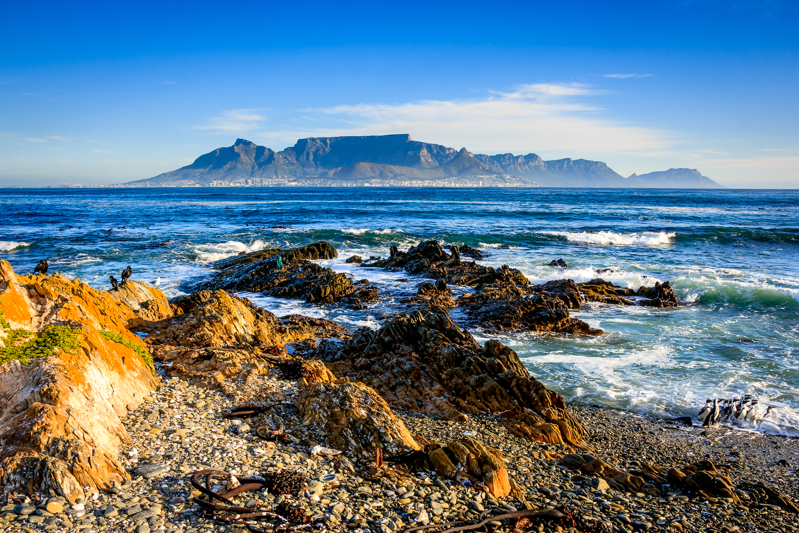 The view of Cape Town from the coast of Robben Island