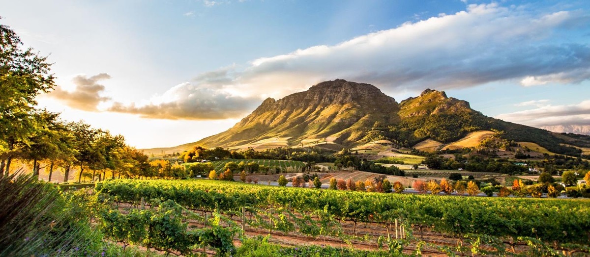 View across the farms of Babylonstoren and Simonsberg Mountain in South Africa