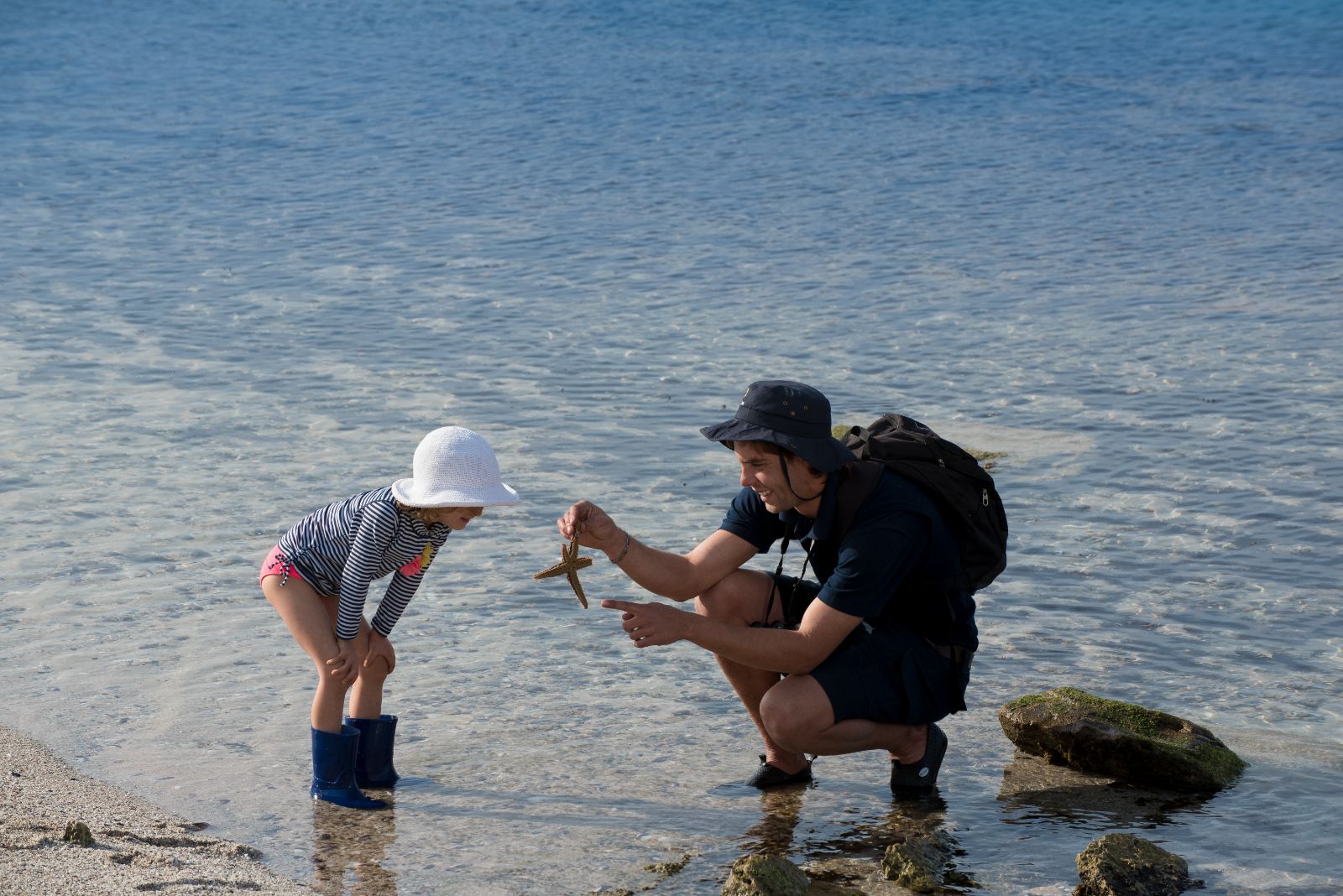 Starfish finding on the grounds of Morukuru Ocean View House in South Africa