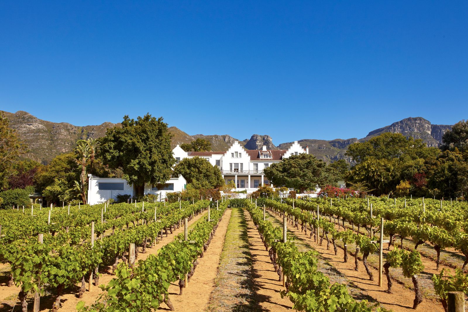 Grounds and vineyards of The Cellars Hohenort in South Africa