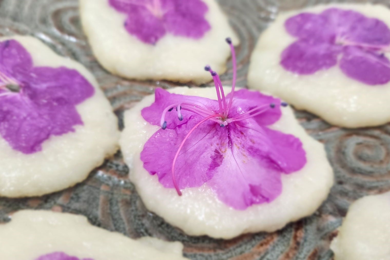 Cherry blossom Korean cookies