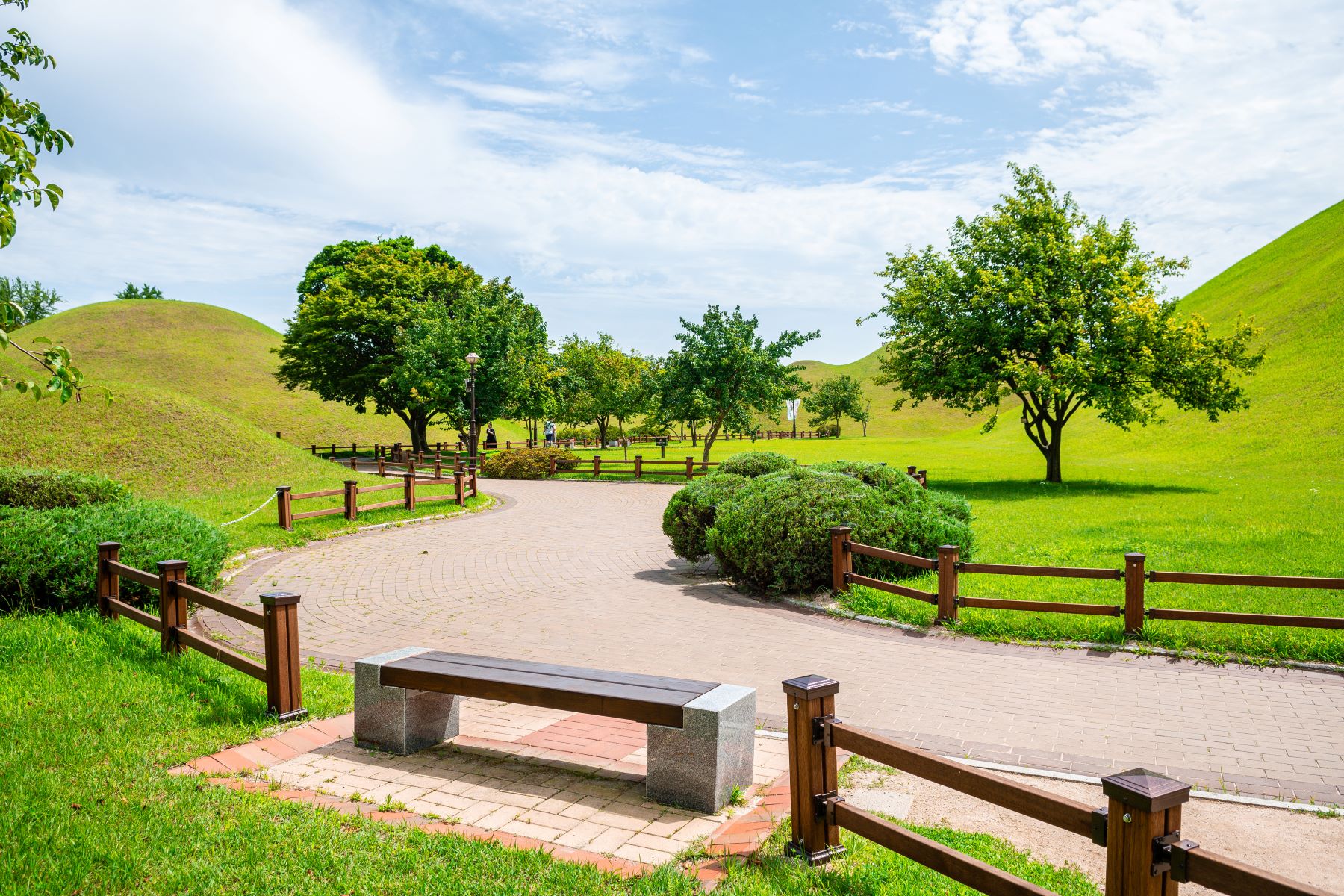 A bench overlooking the hill tombs of Daereungwon in Gyeongju