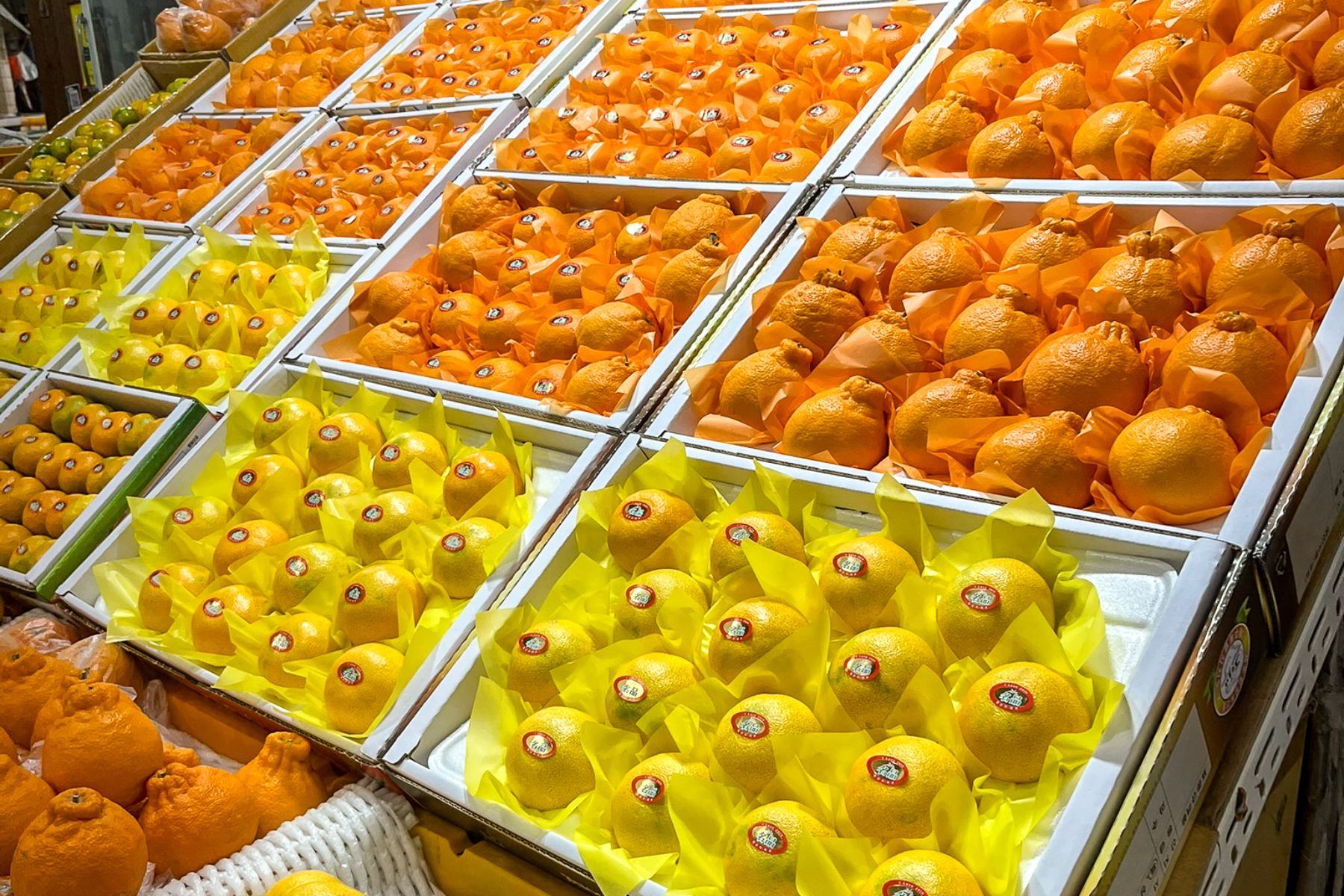 Seogwipo market's citrus fruits on display on Jeju Island