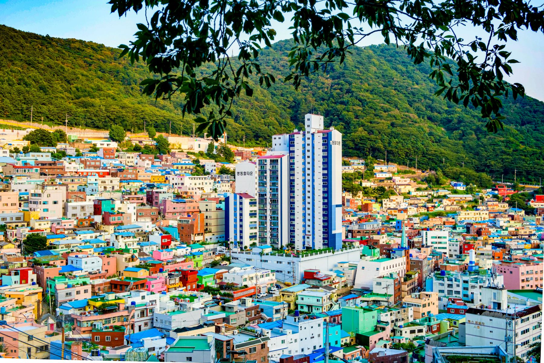 Cityscape of Gamcheon Cultural Village in Busan