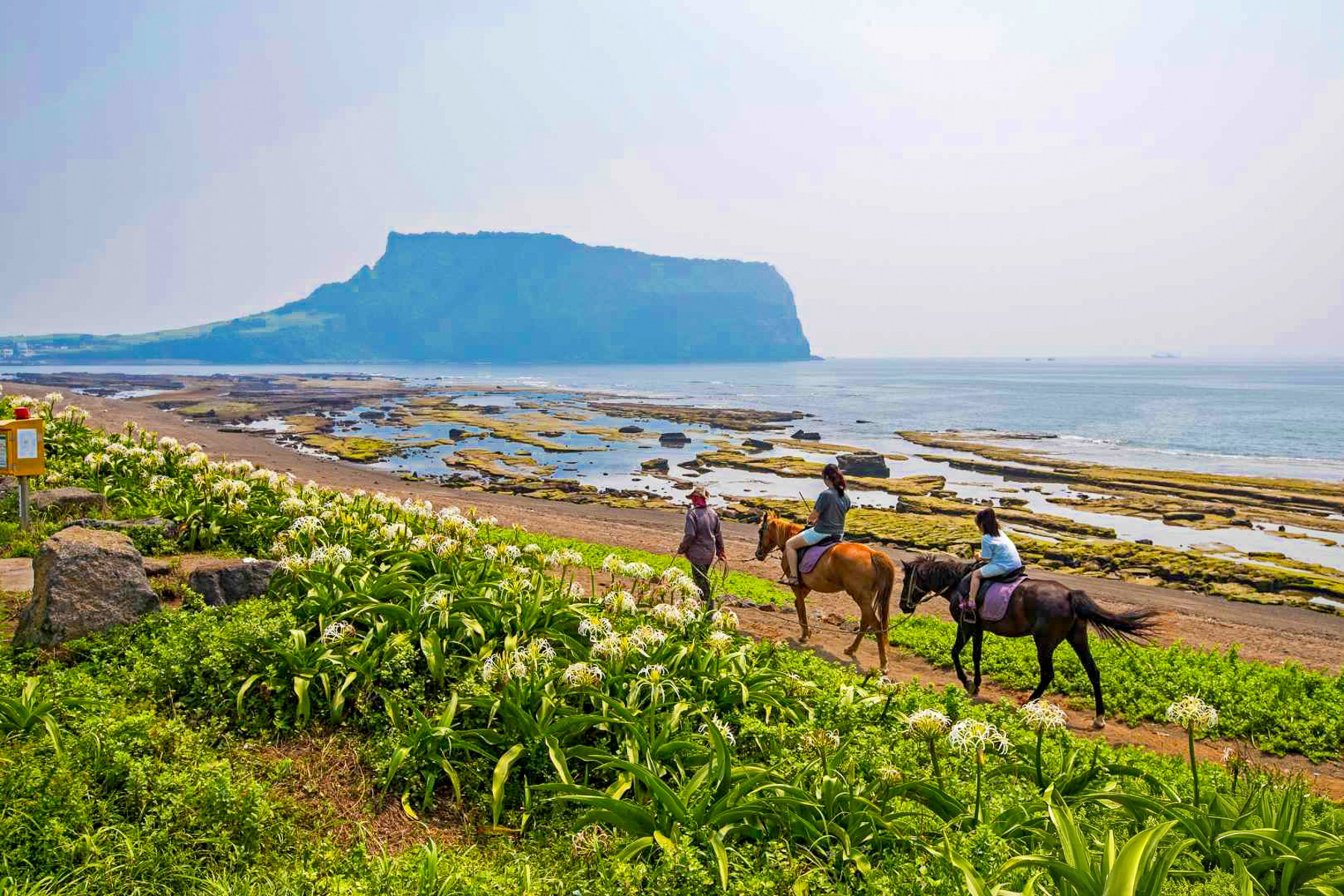 Horse riding along the shore on Jeju Island