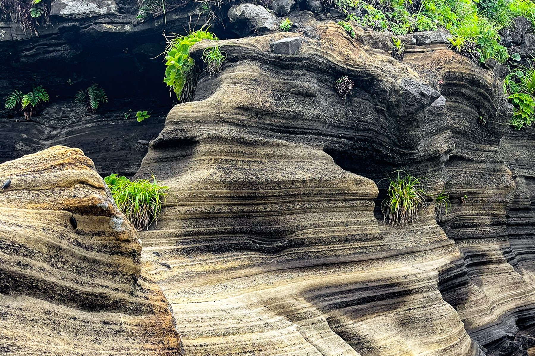 Seongsan Ilchulbong sediment rock formations on Jeju Island