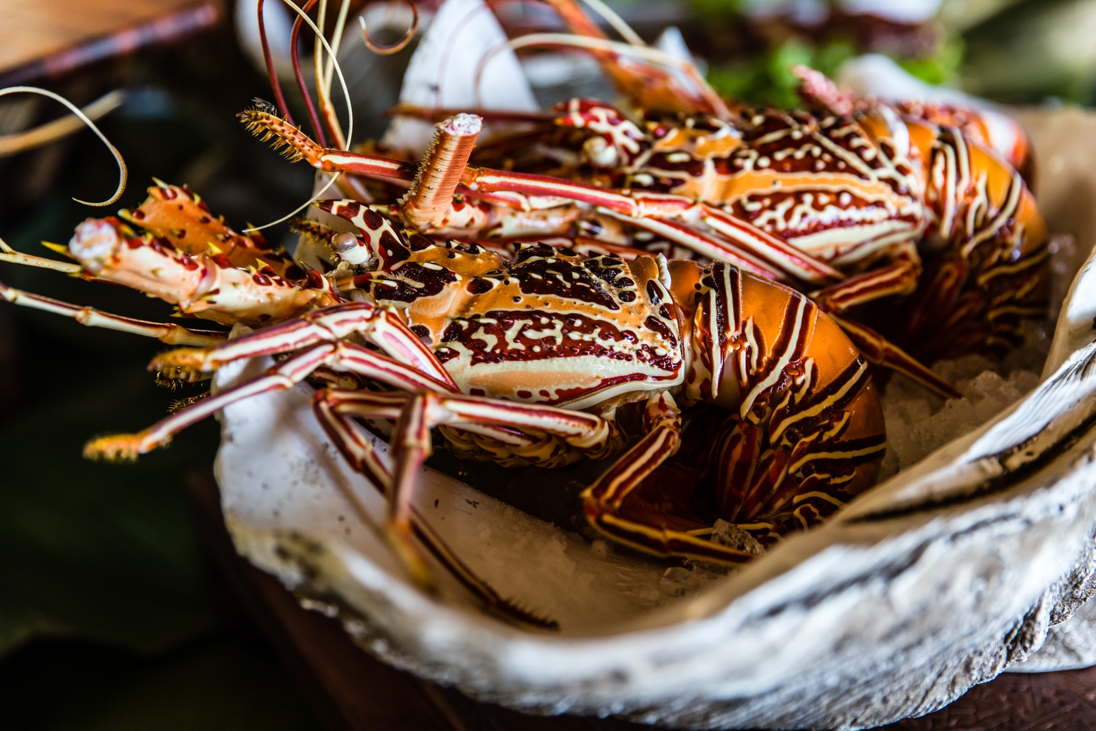 Seafood of Kokomo Island, Fiji