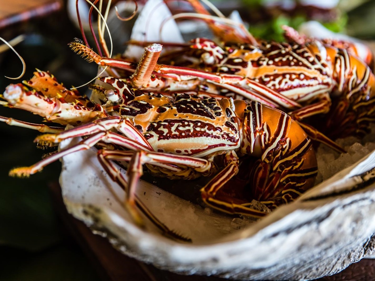 Seafood of Kokomo Island, Fiji
