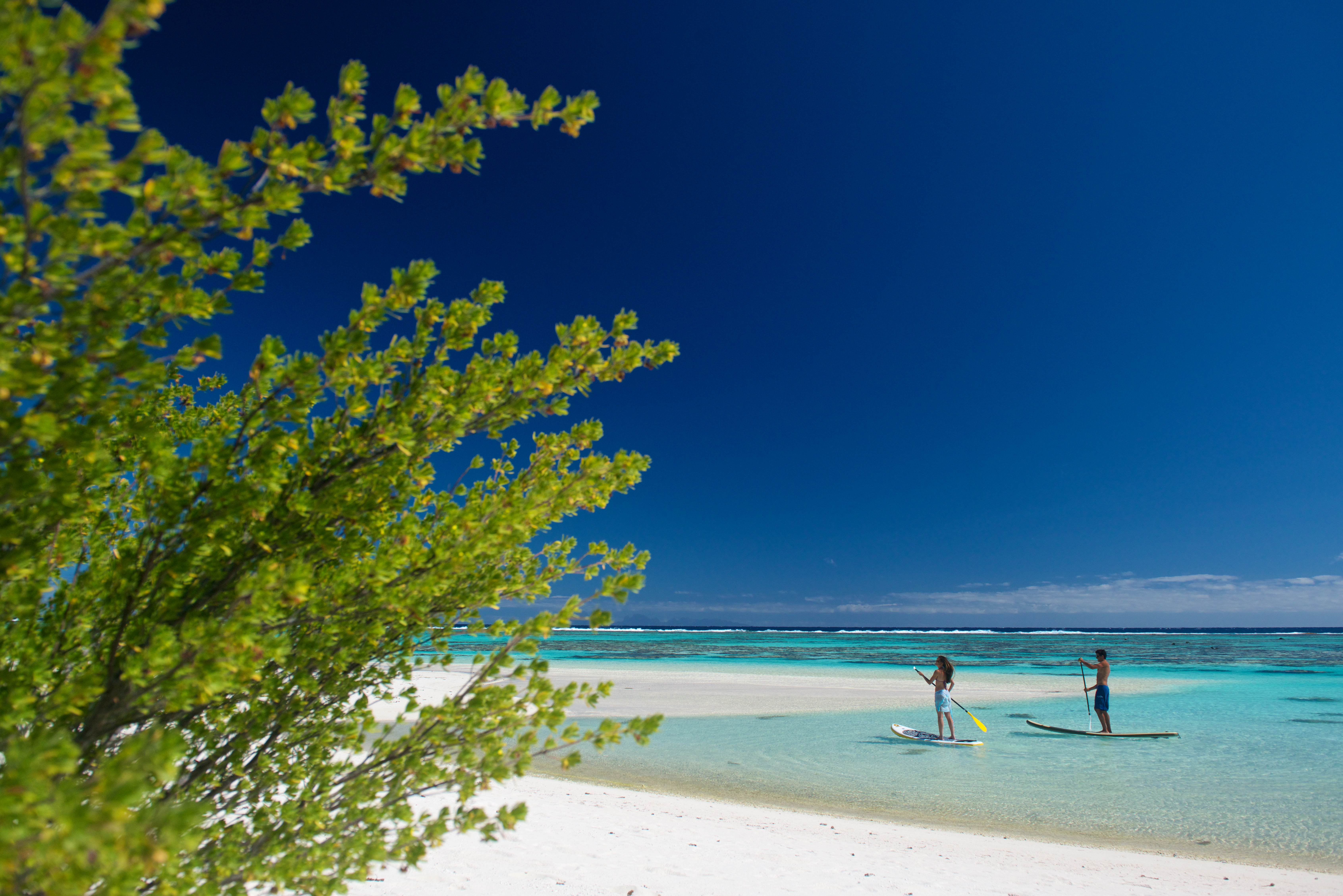 The beach at the Brando in French Polynesia