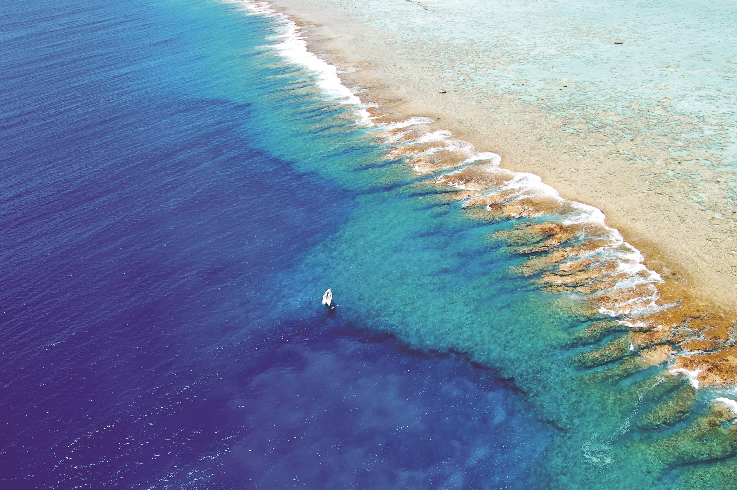 The reef at the Brando in French Polynesia