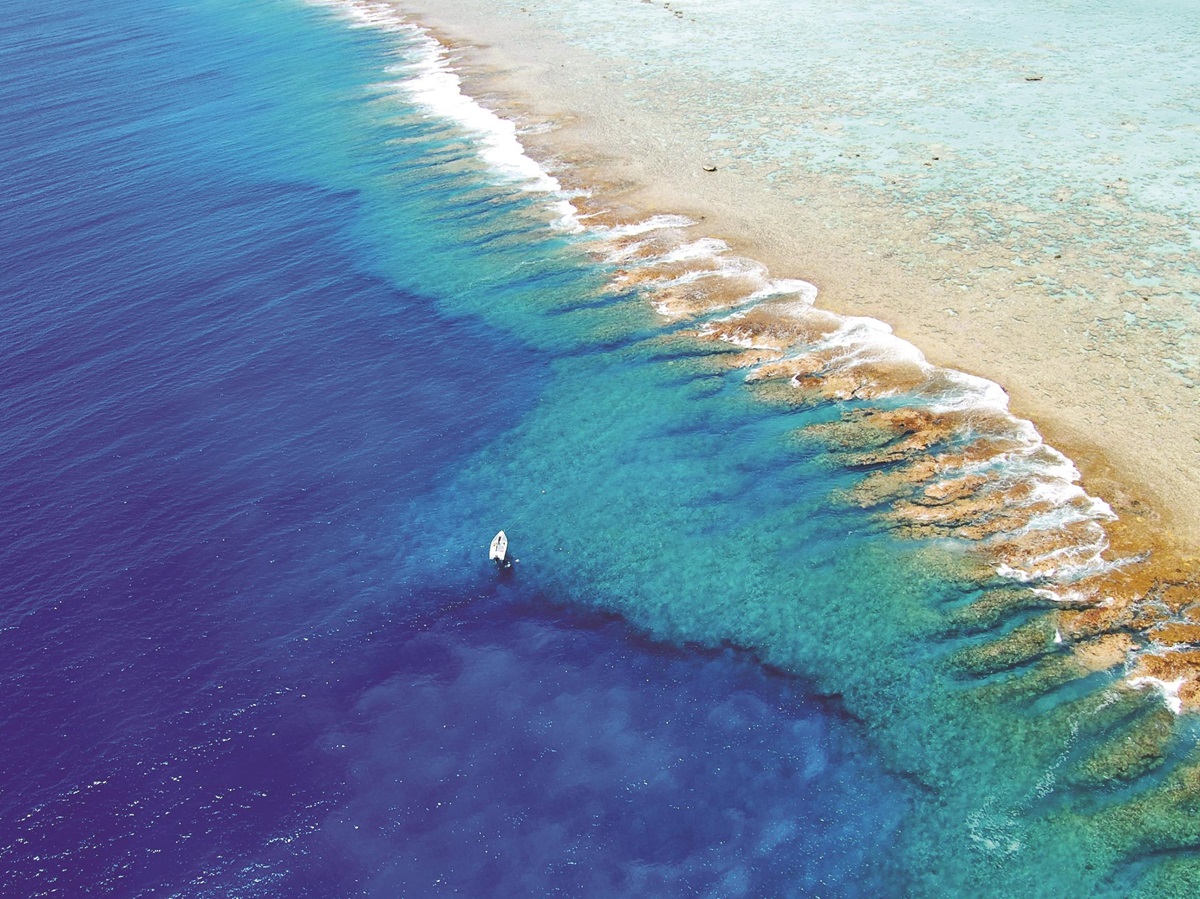 The reef at the Brando in French Polynesia