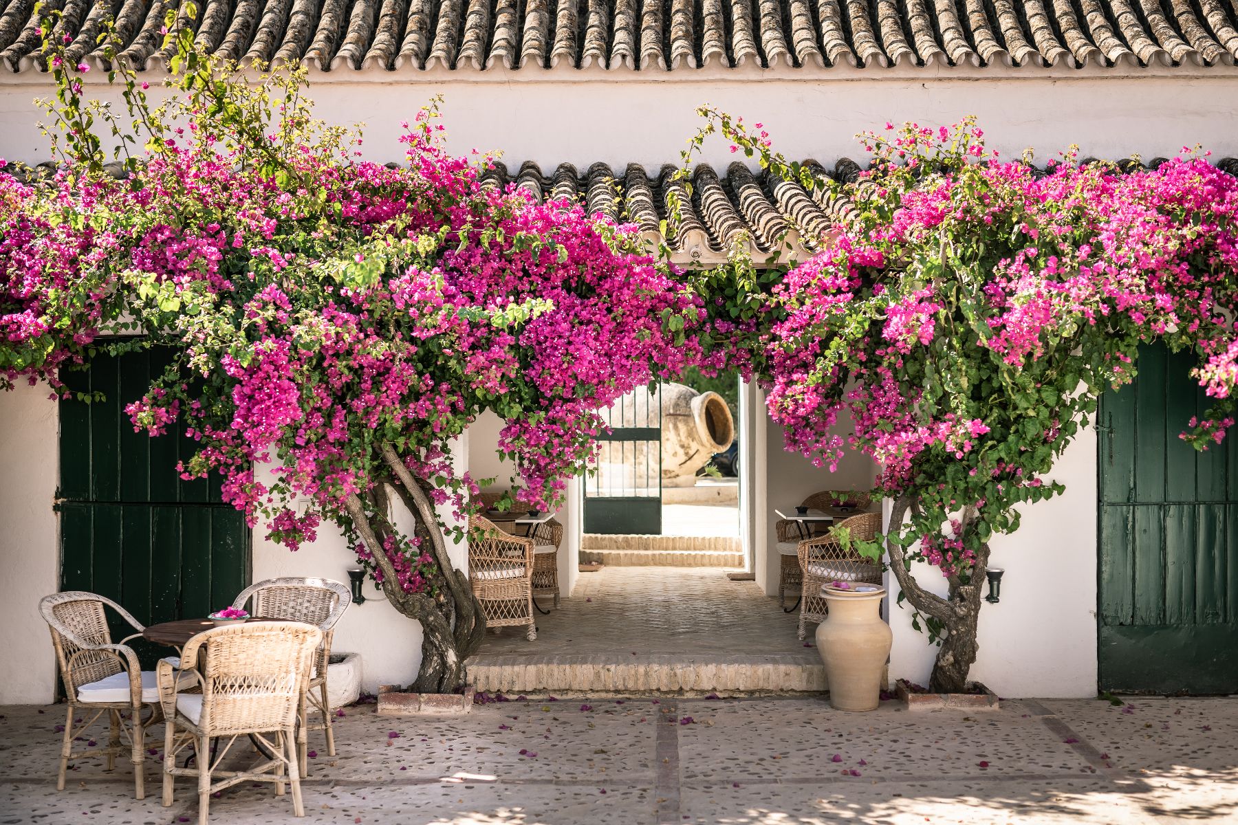 Grounds of Hacienda de San Rafael in Andalusia