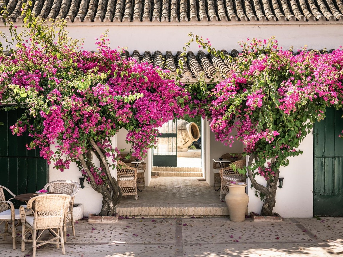 Grounds of Hacienda de San Rafael in Andalusia