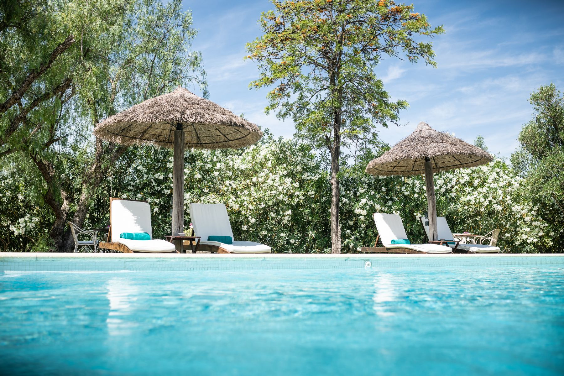 Swimming pool at Hacienda de San Rafael in Andalusia